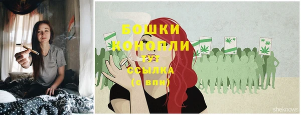 шишки Волосово