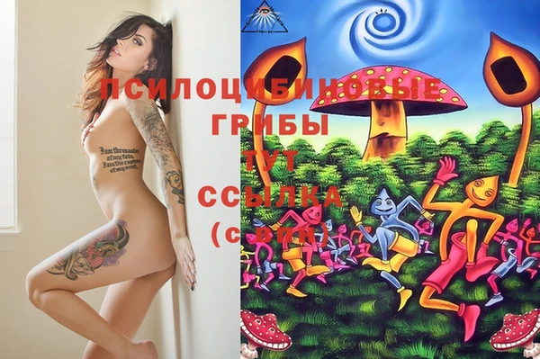apvp Володарск